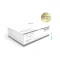 Canula 22G 50MM