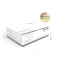 Canula 25G 50MM